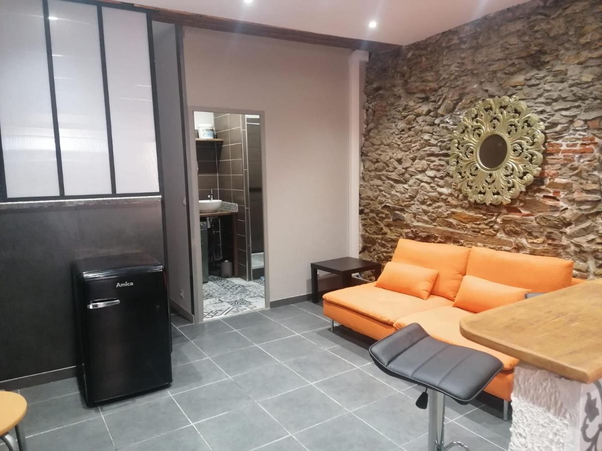 Apartmán Du Bonheur Et Du Bon Air A Banyuls ! Exteriér fotografie